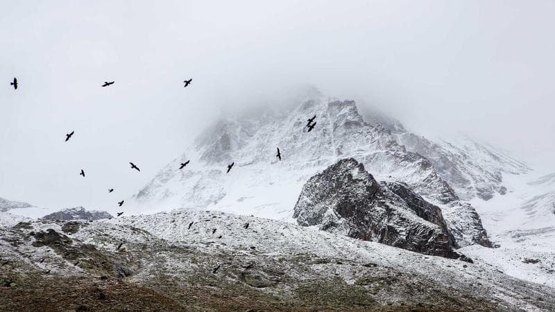 España y América Latina siguen caminos divergentes en materia de regularización